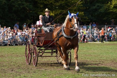 Pferde-und-Fohlenschau-2022-0247-