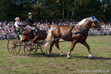 Pferde-und-Fohlenschau-2022-0249-