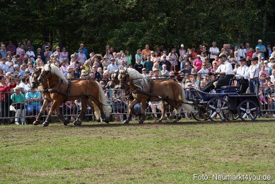 Pferde-und-Fohlenschau-2022-0250-