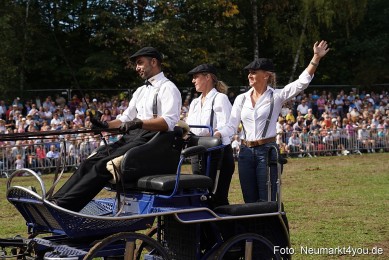 Pferde-und-Fohlenschau-2022-0256-