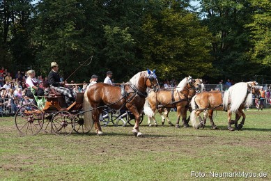 Pferde-und-Fohlenschau-2022-0257-