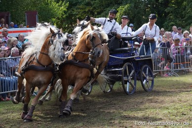 Pferde-und-Fohlenschau-2022-0258-
