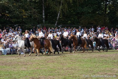 Pferde-und-Fohlenschau-2022-0260-