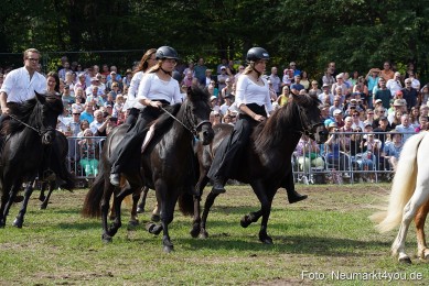 Pferde-und-Fohlenschau-2022-0261-