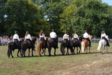 Pferde-und-Fohlenschau-2022-0267-