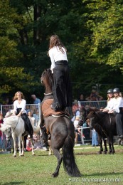 Pferde-und-Fohlenschau-2022-0269-