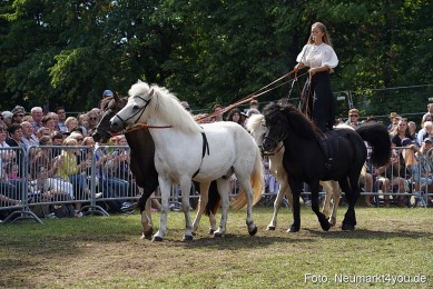 Pferde-und-Fohlenschau-2022-0271-