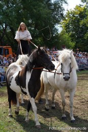 Pferde-und-Fohlenschau-2022-0272-