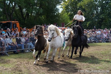 Pferde-und-Fohlenschau-2022-0275-