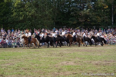 Pferde-und-Fohlenschau-2022-0276-