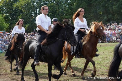 Pferde-und-Fohlenschau-2022-0278-