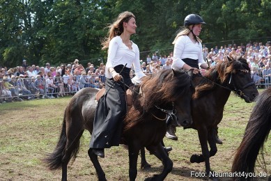 Pferde-und-Fohlenschau-2022-0279-