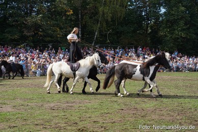 Pferde-und-Fohlenschau-2022-0280-