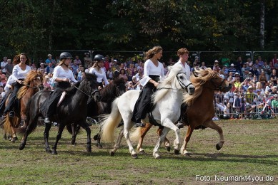 Pferde-und-Fohlenschau-2022-0281-