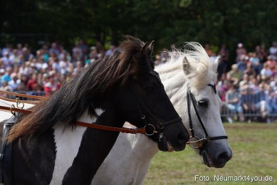 Pferde-und-Fohlenschau-2022-0282-