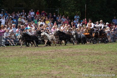 Pferde-und-Fohlenschau-2022-0286-