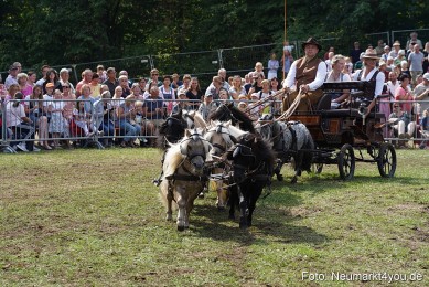 Pferde-und-Fohlenschau-2022-0287-
