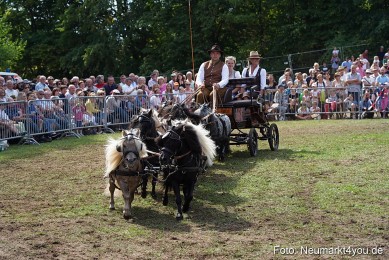 Pferde-und-Fohlenschau-2022-0290-