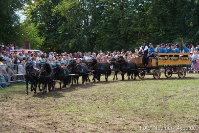 Pferde-und-Fohlenschau-2022-0293-