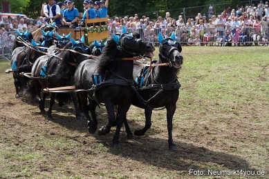 Pferde-und-Fohlenschau-2022-0294-