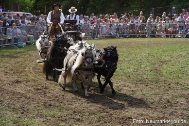 Pferde-und-Fohlenschau-2022-0296-