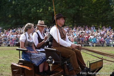 Pferde-und-Fohlenschau-2022-0297-