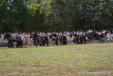 Pferde-und-Fohlenschau-2022-0298-