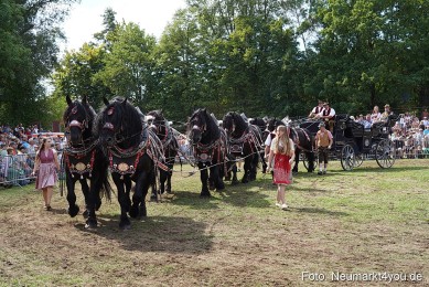 Pferde-und-Fohlenschau-2022-0299-