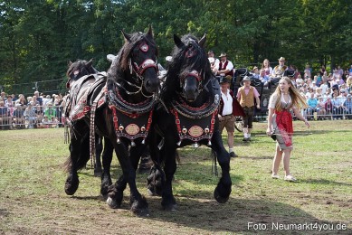 Pferde-und-Fohlenschau-2022-0304-