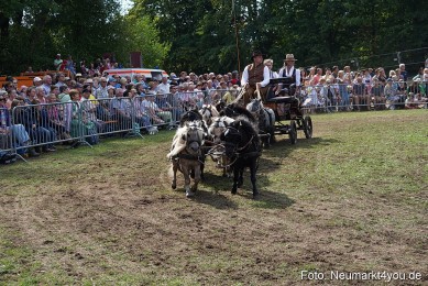 Pferde-und-Fohlenschau-2022-0306-