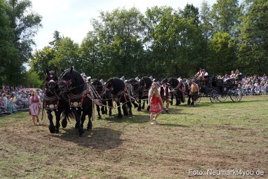 Pferde-und-Fohlenschau-2022-0307-