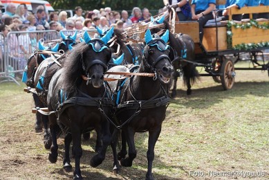 Pferde-und-Fohlenschau-2022-0314-