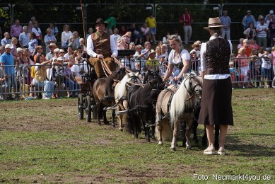 Pferde-und-Fohlenschau-2022-0316-