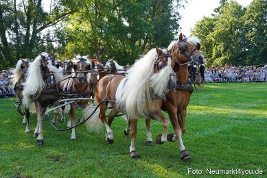 Pferde-und-Fohlenschau-JURA-Volksfest-2023-0009