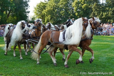 Pferde-und-Fohlenschau-JURA-Volksfest-2023-0017