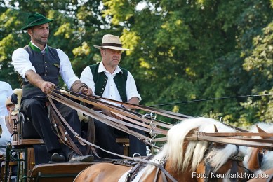 Pferde-und-Fohlenschau-JURA-Volksfest-2023-0018
