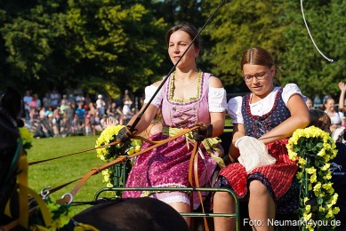 Pferde-und-Fohlenschau-JURA-Volksfest-2023-0033