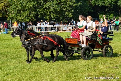 Pferde-und-Fohlenschau-JURA-Volksfest-2023-0037