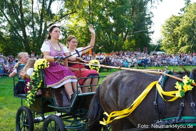 Pferde-und-Fohlenschau-JURA-Volksfest-2023-0038