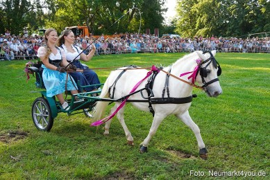 Pferde-und-Fohlenschau-JURA-Volksfest-2023-0039