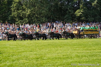 Pferde-und-Fohlenschau-JURA-Volksfest-2023-0042