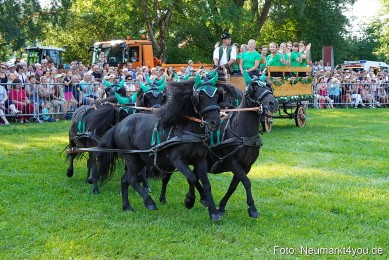Pferde-und-Fohlenschau-JURA-Volksfest-2023-0043