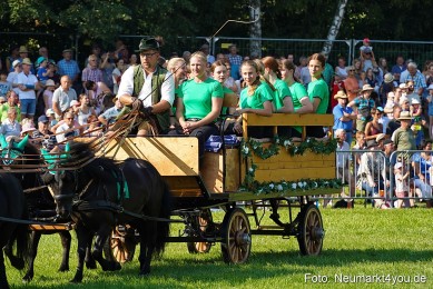 Pferde-und-Fohlenschau-JURA-Volksfest-2023-0050