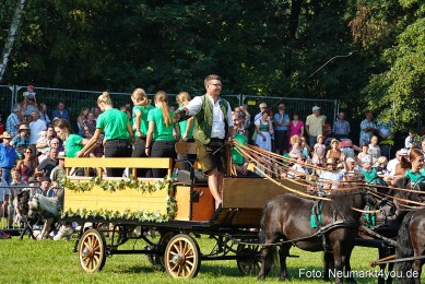 Pferde-und-Fohlenschau-JURA-Volksfest-2023-0054
