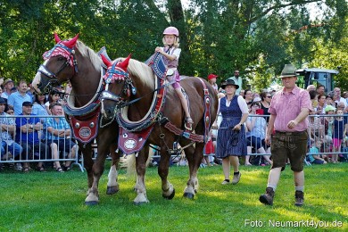 Pferde-und-Fohlenschau-JURA-Volksfest-2023-0072