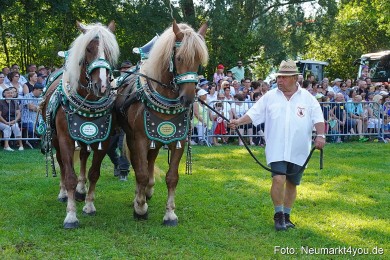 Pferde-und-Fohlenschau-JURA-Volksfest-2023-0082