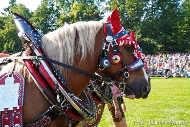 Pferde-und-Fohlenschau-JURA-Volksfest-2023-0086