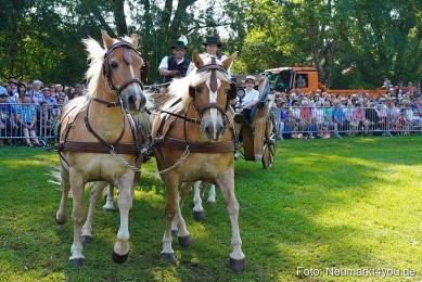 Pferde-und-Fohlenschau-JURA-Volksfest-2023-0096