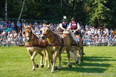 Pferde-und-Fohlenschau-JURA-Volksfest-2023-0097