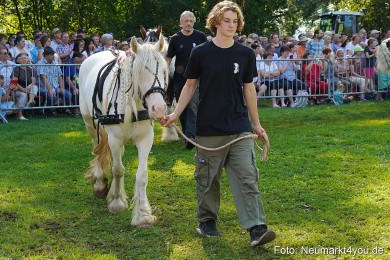 Pferde-und-Fohlenschau-JURA-Volksfest-2023-0103